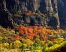 Fall Colors - Zion Canyon (138k)