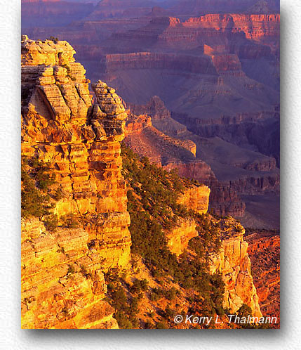 Morning Light from Mather Point (103k)